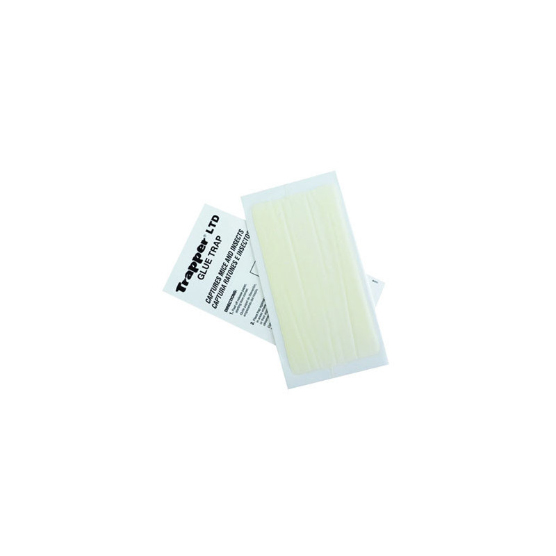 TRAPPER LTD TRAPPER LTD