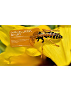 MAJOR SHOP : Insecticides, Rodonticides et Dissuasifs Professionnels Nouvelle-Aquitaine