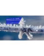 MAJOR SHOP : Dégivrant, Antigel & Déneigeant PRO 16, 87, 23, 19