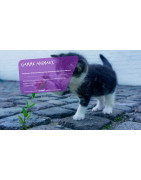 MAJOR SHOP (NA) : Hygiène Animale, Désinfection Chenil et Locaux