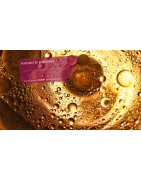 MAJOR SHOP : Fontaines Dégraissage & Liquides Nettoyants Pro - Nouvelle-Aquitaine